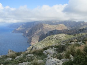 IMG_5073 (Medium)